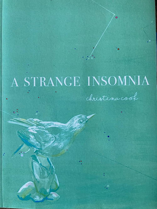 Book Cover of Christina Cook's "A Strange Insomniac"